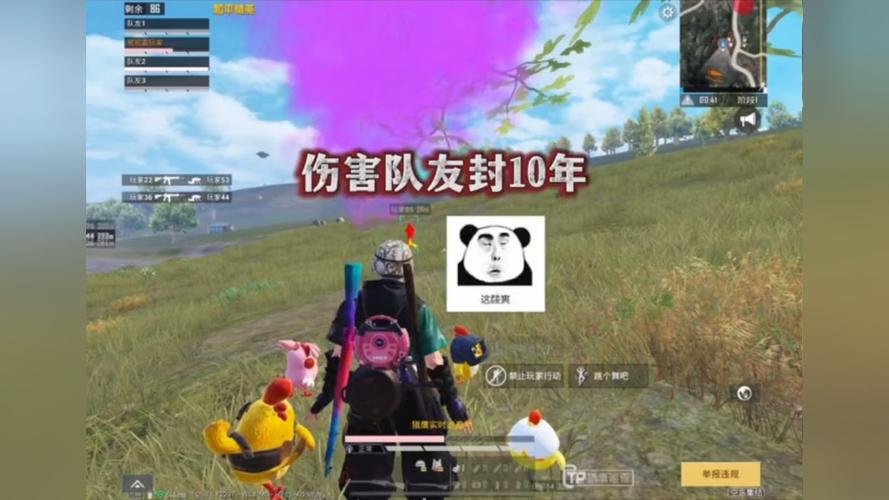 深入了解和平精英辅助现象:技术创新与社会影